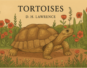 Tortoises